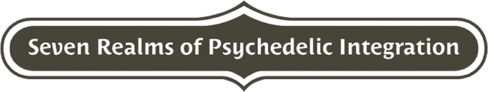 Seven Realms of Psychedelic Integration